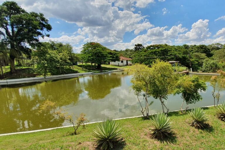 Paisagem lago e área verde